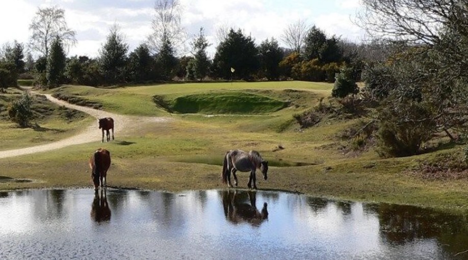 Photo of Burley Golf Club